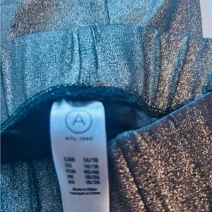 Shimmering Silver pants